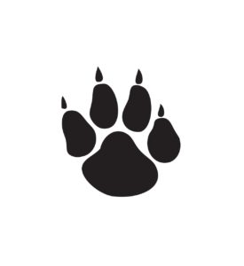 PAW-A2